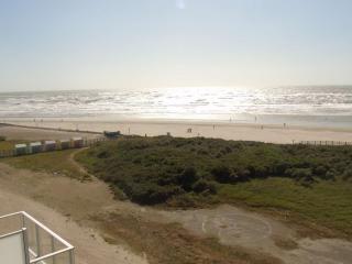 Grand T3 vue mer avec balcon et parking, accès direct plage - FR-1-674-1 - Berck-sur-Mer - 0
