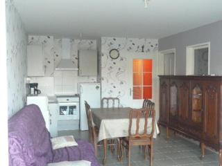 Appartement RDC avec Terrasse, 2 Chambres, Parking Privé et Animaux Admis - Berck - FR-1-674-32 - Berck-sur-Mer - 2