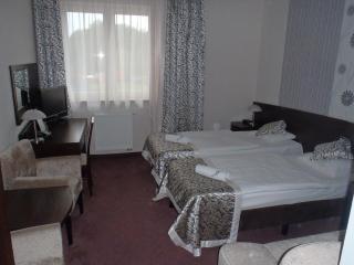 Hotel Monet & Rubbens - Toruń - 7