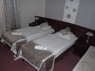 Hotel Monet & Rubbens - Toruń - 5