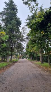 El Rancho de Juanchi - 0