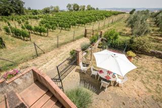 Casa Vacanze del Borgo - Montalcino - 0