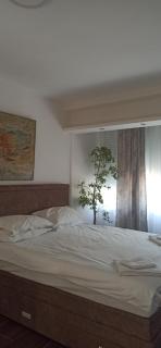 Apartmani Bonaca u Centru Nikšića - Nikšić - 9