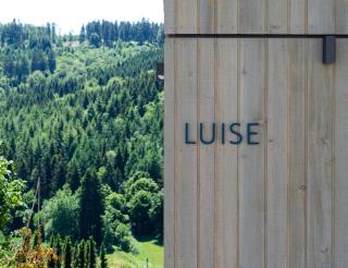 Sauerland Lodge - Haus Luise - Winterberg - 5