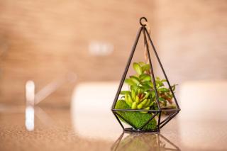 Apartamento Dayely - Corralejo - 3