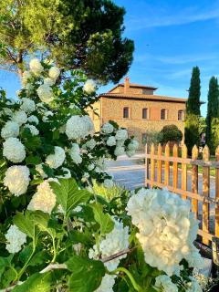 Agriturismo La Colmata - Cesa - 7