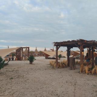 Holiday Apartment Mamaia Nord - 5