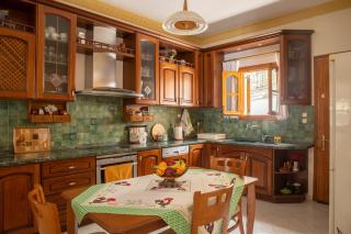 Violetta's House Παραδοσιακή Βίλα στην Πορταριά - 4