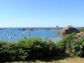 Villa standing avec jardin, plage à Trégastel, WiFi inclus - FR-1-368-128 - Trégastel - 0