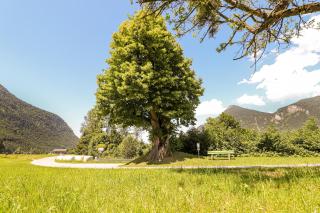 Ferienwohnungen beim Silbergersee - 7