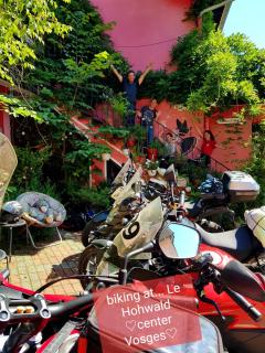 Tilly's B&B and apartment house - Le Hohwald - 6