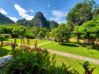 Bearlinbungalow - Vang Vieng - 6