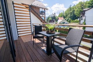 Apart Invest Centrum Park 16 - Szklarska Poręba - 9