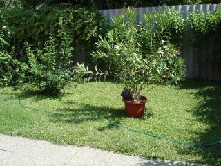 Liza Apartman - Gyula - 2