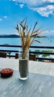 Chrysa's Dream - Dreamy Sea View at Spacious 3BR Apt in Porto Cheli - Porto Cheli - 8