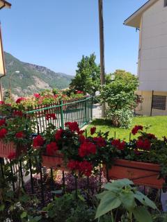 B&B A casa di Carla - Castelsaraceno - 9