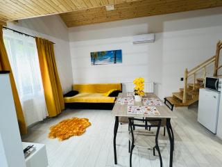 Reny's Studio Apartments -Hiperbara - Livezeni - 3