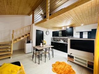 Reny's Studio Apartments -Hiperbara - Livezeni - 6