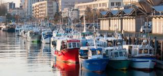 Les Pipots - Boulogne-sur-Mer - 1
