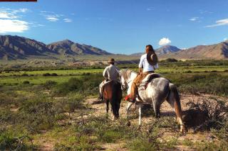 Estancia Colome - Molinos - 6