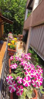 Elisa e Carla House Beautiful apartments on the Cassia - Roma - 6