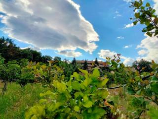 b&b L`Oasi - Casal Velino - 6