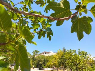 b&b L`Oasi - Casal Velino - 8