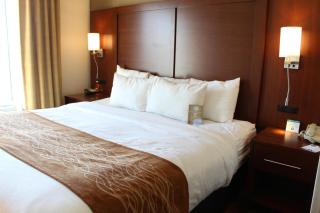 Comfort Suites Kansas City-Liberty - Liberty - 9