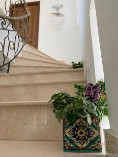Casa Ruxandrei - Constanza - 2