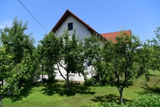 Apartment Stjepan - 3