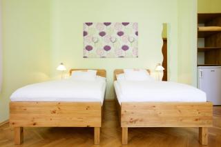 Wellness Penzion U Muzea - 6