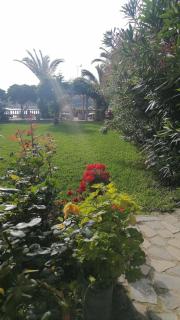 Dionisis Apartments - Kounopetra - 3
