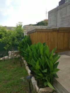 Palm Villa - 8