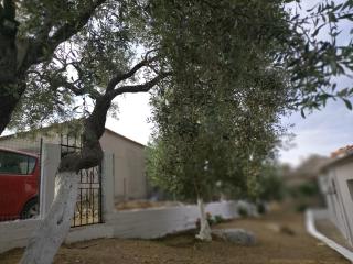 Palm Villa - Astris - 2