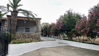 Palm Villa - Astris - 1