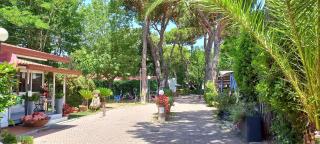 Camping Linus - Marina di Massa - 1