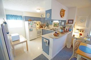 KD1401- License To Chill - Kill Devil Hills - 5