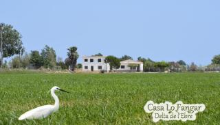 Casa Lo Fangar - Delta de l'Ebre C3 - Deltebre - 9