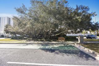 Phoenix East 508 - 2