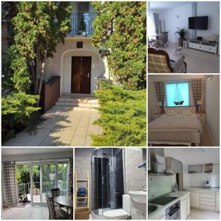 Lux apartament Chodzież, ul Zwycięstwa 13 - Chodzież - 9
