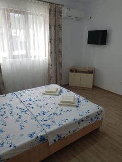 Casa de vacanta Elisa - Dubova - 3