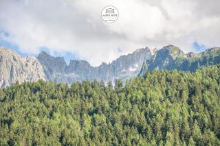 B&B Alpen Suite Ponte di Legno - 6