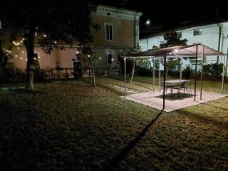L' antico nespolo - Nemoli - 1