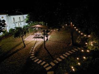 L' antico nespolo - Nemoli - 4