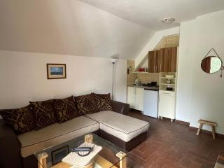 Gorska Vila Apartments - Žabljak - 1
