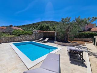 Olive Tree - House with Pool - Vinišće - 0