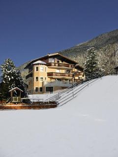 Ferienhaus Bergblick - 9