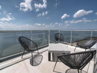 Premium apartment with covered terrace - Scherpenisse - 9