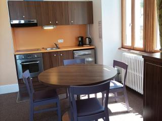 Appartement T3 dans Château des Magnans, Jausiers - 6 pers, piscine, sauna, proche Barcelonnette - FR-1-165B-19 - Jausiers - 9