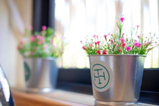 Tiny House Isla Mujeres - 2